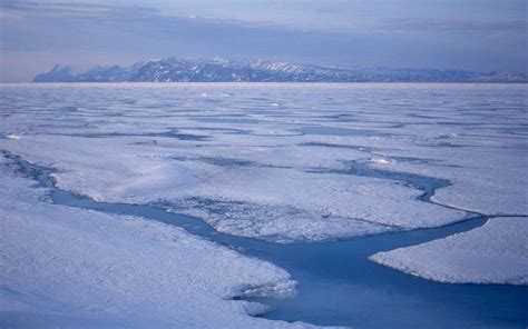 The first Americans may have arrived by a sea ice highway as early as ...