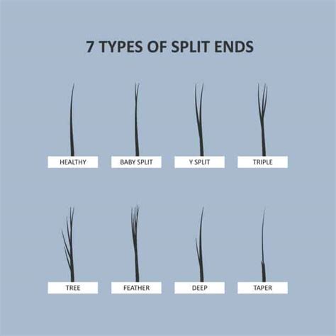 How to Fix Split Ends: Prevention, Treatments, and Products | Softer Hair