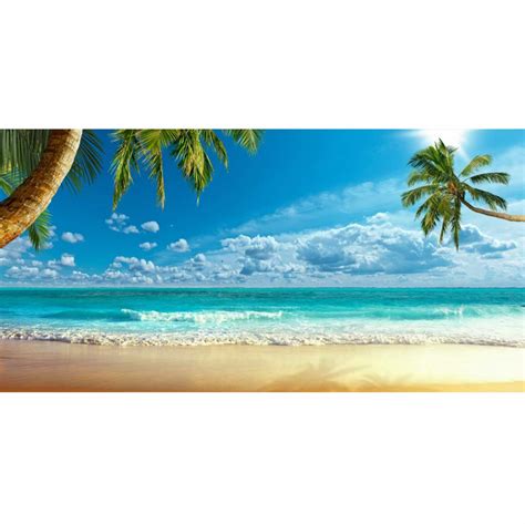 Buy Leowefowa X Ft Large Vinyl Photography Backdrop Beach Themed