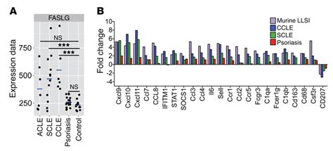 Gene Expression In Human Cle A Microarray Analysis Showing Fasl