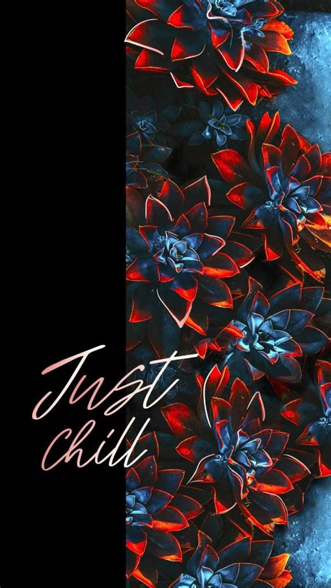 Just Chill iPhone Wallpaper - iPhone Wallpapers