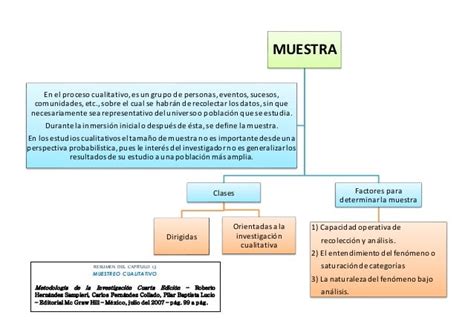 Muestreo Cualitativo Cap 131