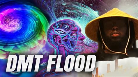 Decoding The Mysteries Of Pineal Gland Activation A Gateway To