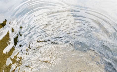 Deutschland Drohen Sinkende Grundwasserspiegel FISCH FANG