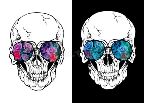 Human Skull Isolated With Sunglasses Stock Vector Illustration Of