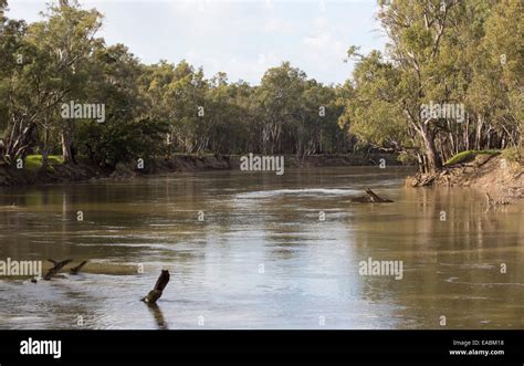 Murrumbidgee Valley National Park Hi Res Stock Photography And Images