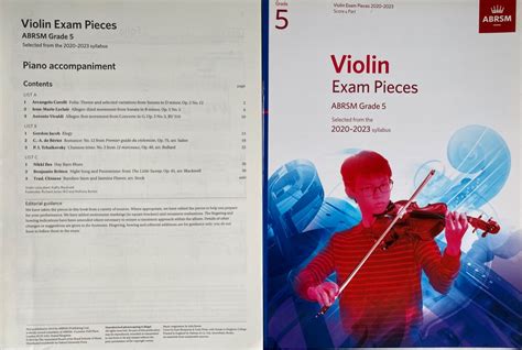 Abrsm Violin Exam Piece Grade Syllables Hobbies Toys