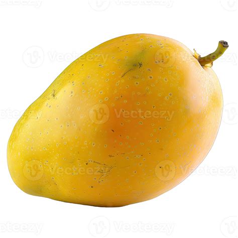 Yellow Ripe Mango Fruit 47493948 Png