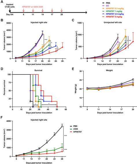 Frontiers A Novel C Type Cpg Oligodeoxynucleotide Exhibits