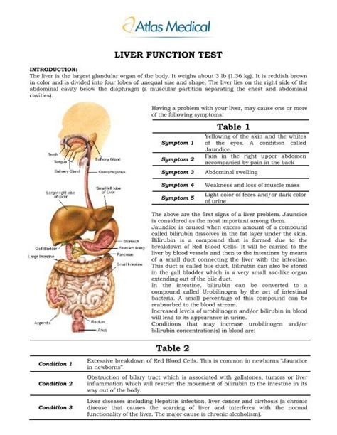 Liver Test Chart