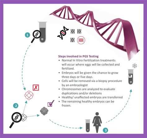 Pgd Pgs Genetics Advanced Fertility Centers