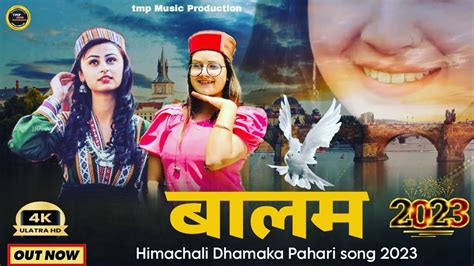 Himachali Dhamaka Pahari song 2023 बलम new pahari song 2023