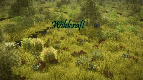 Wildcraft Fruits And Nuts Vintage Story Mod DB