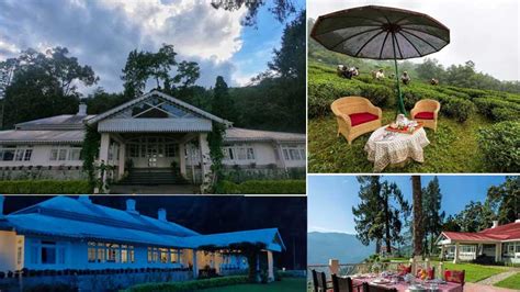 Top 10 Tea Estate Resorts In Darjeeling Honeymoon Bug