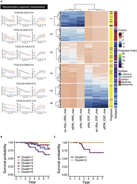 A Text Based Computational Framework For Patient Specific Modeling For