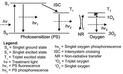 Jablonski Energy Diagram Describing The Interactions Between