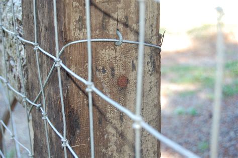 Pasture Fencing Project-Completed – On The Banks of Salt Creek