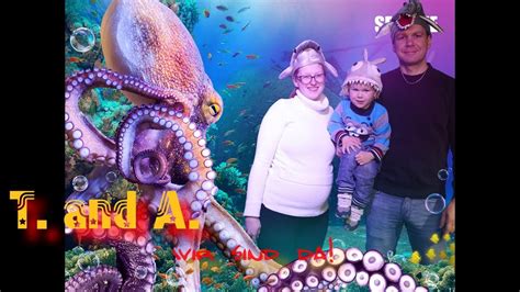 Hochzeitstag Berlin Sea Life Legoland Vlog T And A Youtube