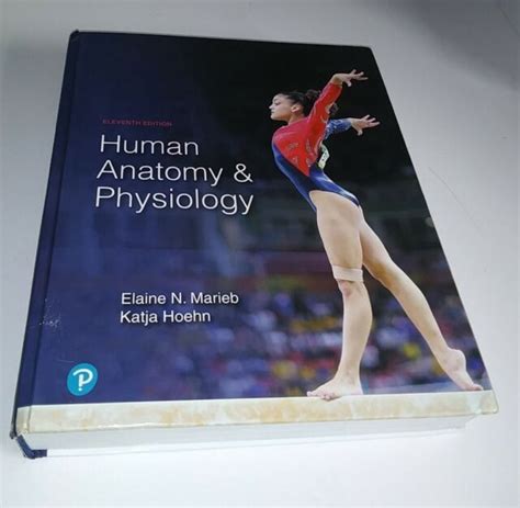 Human Anatomy And Physiology By Elaine N Marieb And Katja N Hoehn