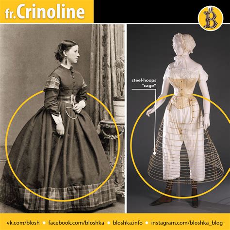 Crinoline – Bloshka