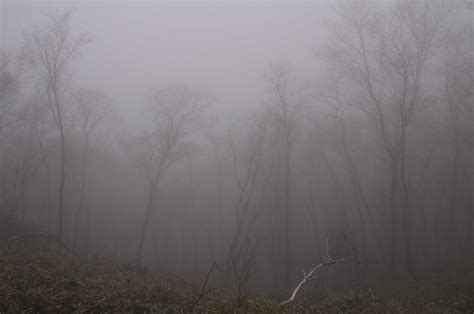 DSC 1459 20120421 Mt Izugatake Hike Shun Flickr