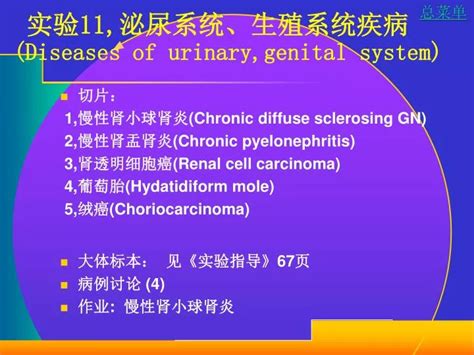 Ppt 实验 11 泌尿系统、生殖系统疾病 Diseases Of Urinary Genital System