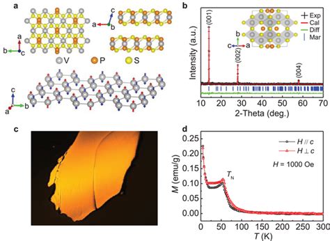 Characterization Of The Structure And Magnetism Of VPS3 A Crystal And