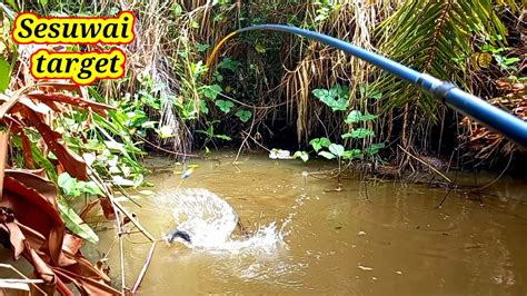 Mancing Di Spot Liar Ini Sesuai Target Hasil Memuaskan Bj Youtube