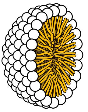 Illustrated Glossary Of Organic Chemistry Micelle