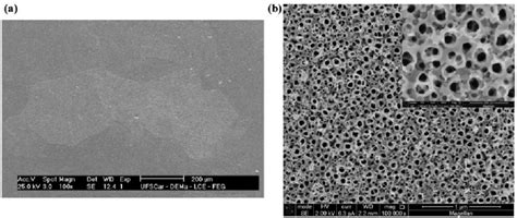 Sem Micrographs Showing The Surface Morphology Of Ti Mo Alloy A