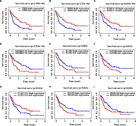 Frontiers Development And Validation Of A Novel Prognostic Model For