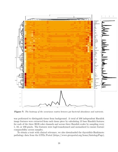 Imbalanced Sparse Canonical Correlation Analysis DeepAI