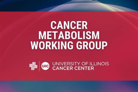 Cancer Metabolism Working Group Meeting University Of Illinois Cancer Center