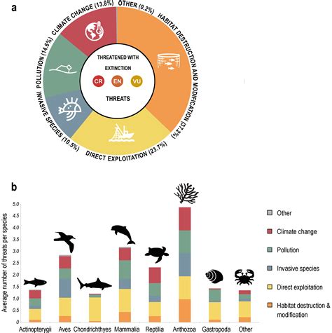 10 Endangered Marine Species Due To Overfishing - The Oyster Encyclopedia
