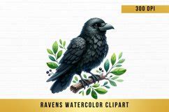 10 PNG Ravens Watercolor Clipart Sublimation Graphics Png