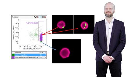 Imaging Flow Cytometry • iBiology