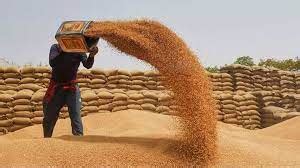 Govt Sets Conservative Wheat Procurement Target Of Million Tonnes