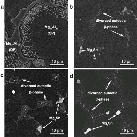 Sem Images Of Rheo Cast Az And Az Sn Alloys A Pure Az B