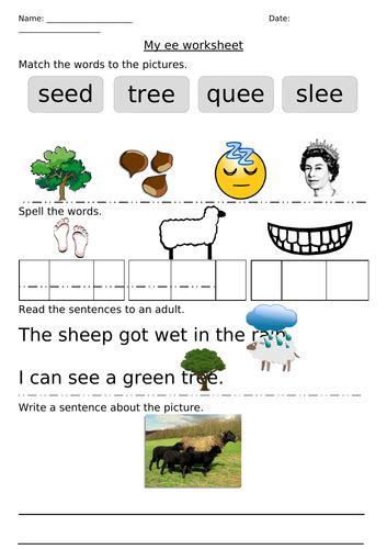 Differentiated Phonics Worksheet Ee Sound Teaching Resources