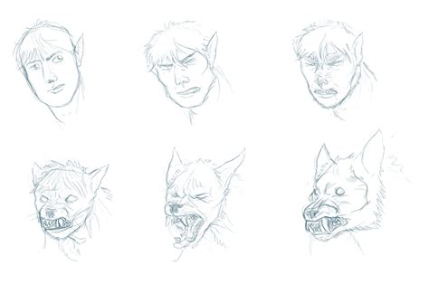 How To Draw A Werewolf Transformation