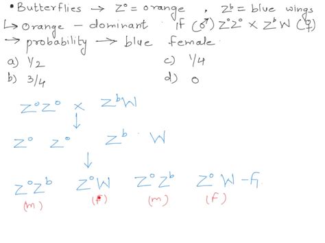 Solved Wing Color In Butterflies Is Determined By A Sex Linked Allele