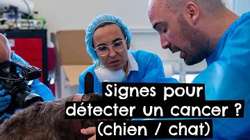 Quelle Sont Les Sympt Mes D Une Tumeur Au Cerveau Cartes Postales