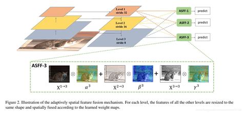 Asff：目标检测自适应特征融合方式asff自适应特征融合 Csdn博客