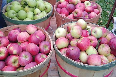 Growing Fruit Trees Guide Wisconsin Heydens Gardens Cedarburg Wi