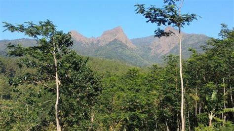 Fakta Gunung Piramid Yang Sering Makan Korban Tidak Bisa Sembarang