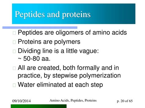 Ppt Amino Acids Peptides Proteins Powerpoint Presentation Free