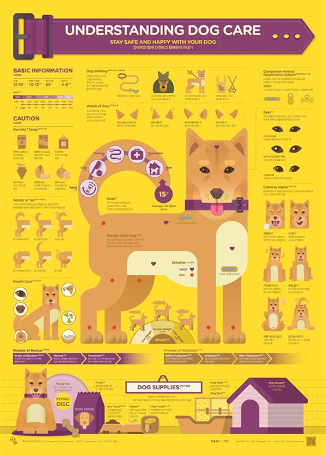 201909 Understanding Dog Care On Behance Dog Care Graphic Design