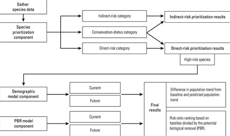 Flowchart Showing The Generalized Steps In The Assessment Methodology