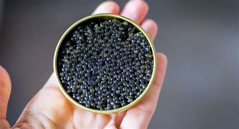 Most expensive Almas beluga caviar cost – Arad Branding