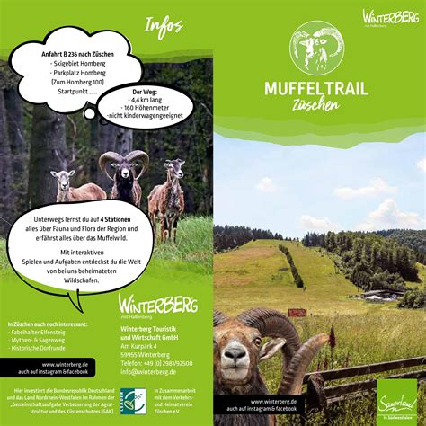 Winterberg Muffeltrail Z Schen By Sauerland Tourismus Issuu